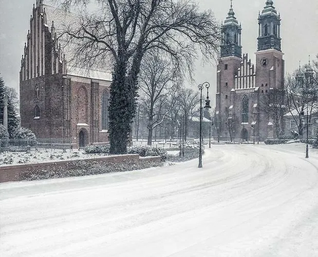 Terra Pia Познань